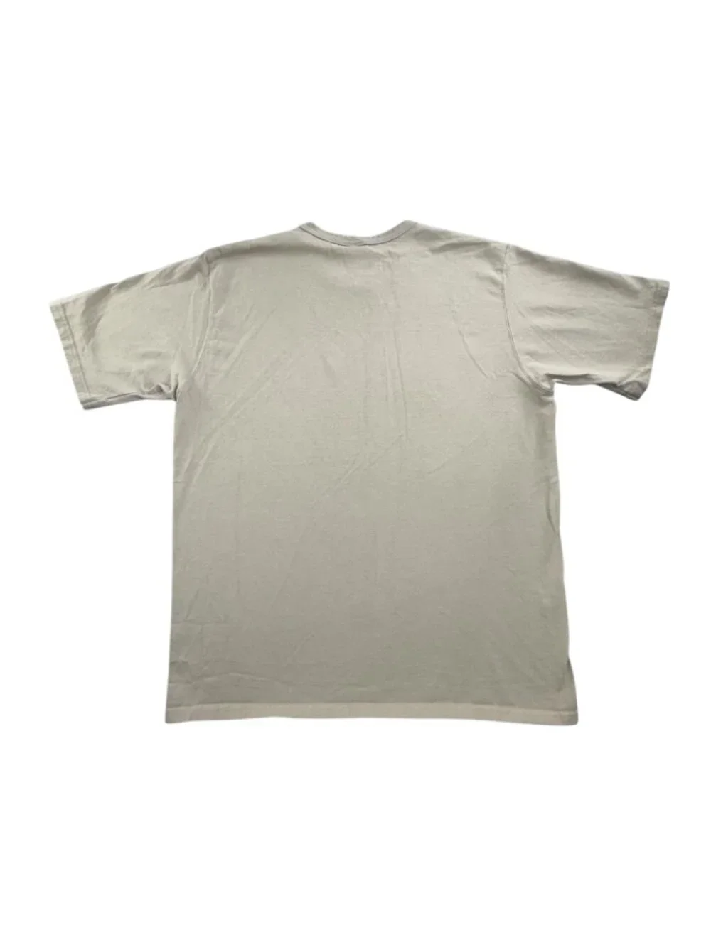Vintage Champion Shirt Mens 2XL Beige Tropical Monstera Leaf Graphic Tee Logo - Picture 2 of 11